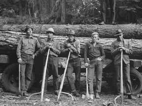 Dorothea Lange | Доротея Ланж - Пять членов лесопильного кооператива