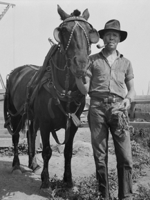 Dorothea Lange | Доротея Ланж - Наемник на ферме Майерс, Вашингтон