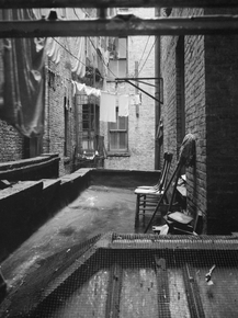 Dorothea Lange | Доротея Ланж - Из заднего окна многоквартирного дома, 133 Авеню, Нью-Йорк