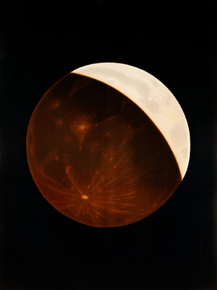 Etienne Leopold Trouvelot | Этьен Леопольд Трувело - Partial eclipse of the moon