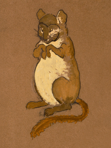 William Penhallow Henderson - Dormouse | Уильям Пенхаллоу Хендерсон
