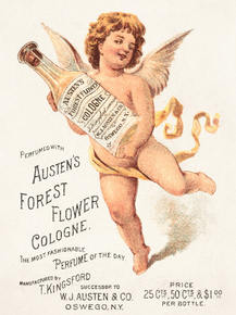 Perfumed with Austen's Forest Flower Cologne