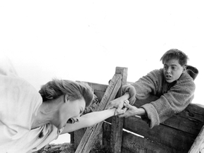 Ladyhawke, 1985 | Леди-ястреб