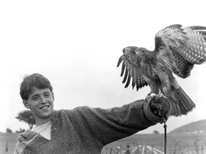 Ladyhawke, 1985 | Леди-ястреб