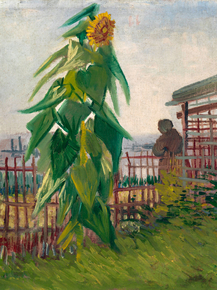 Van Gogh - Allotment with Sunflower, 1887 | Ван Гог Van Gogh - Allotment with Sunflower, 1887 | Ван Гог