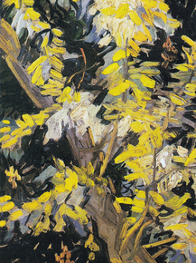 Van Gogh - Blossoming Acacia Branches, 1890 | Ван Гог
