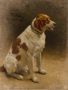 Репин Илья Ефимович - Этюд собаки, 1894