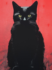 Кошки