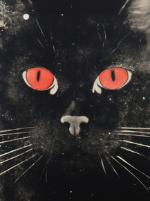 Кошки