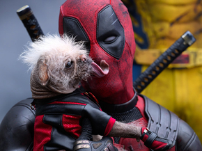 Deadpool & Wolverine | Дэдпул и Росомаха