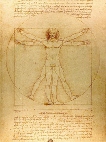 Da Vinci Vitruvian Man | Леонардо да Винчи Витрувианский человек Da Vinci Vitruvian Man | Леонардо да Винчи Витрувианский человек