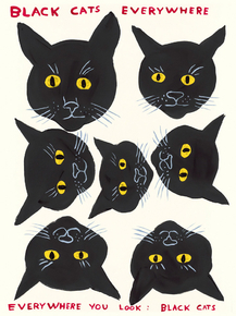 David Shrigley - Black Cats | Дэвид Шригли