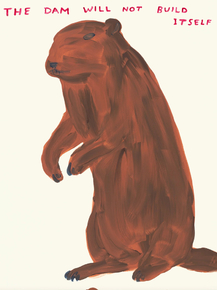 David Shrigley - Beaver | Дэвид Шригли