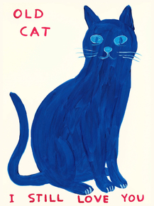 David Shrigley - Old Cat | Дэвид Шригли