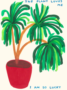 David Shrigley - The Plant Loves Me | Дэвид Шригли