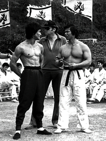 Bruce Lee | Брюс Ли и Боло Ёнг