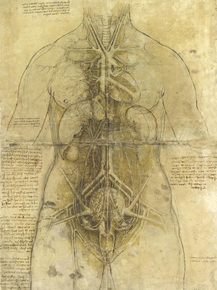 Leonardo Da Vinci | Леонардо да Винчи - Анатомия
