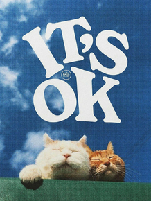 Коты - it's ok