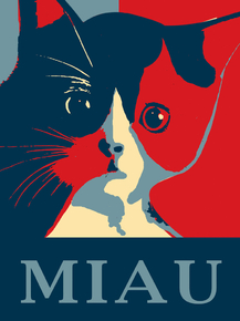 Miau