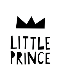 Little Prince Little Prince