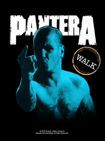 Pantera - Vulgar Display of Power