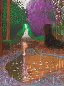 David Hockney | Дэвид Хокни