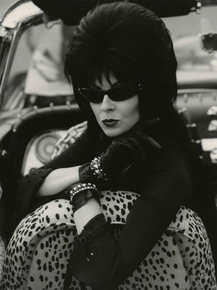 Elvira, Mistress Of The Dark, 1988 | Эльвира: Повелительница тьмы