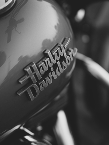Harley Davidson