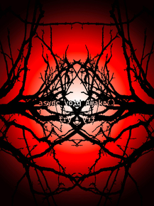 The Blair Witch Project | Ведьма из Блэр