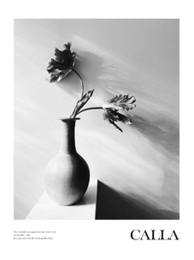 Calla