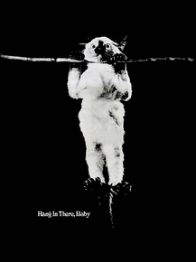 Victor Baldwin - Hang in there, Baby | Виктор Болдуин - Держись, малышка