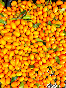 Кумкват