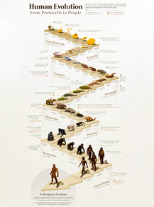 Guman Evolution | Человеческая эволюция