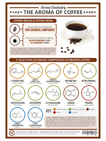 The Aroma Of Coffee