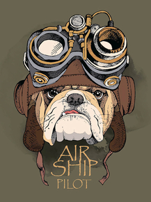 Air Ship Pilot