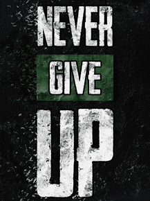 Never Give Up Never Give Up