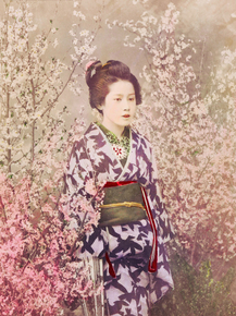 Огава Кадзумаса - Geisha and Cherry Blossom
