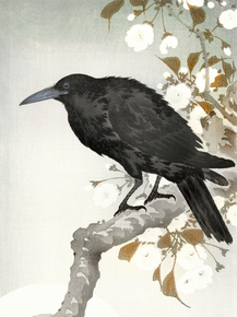Косон Охара - A crow and the full moon