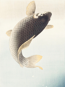 Косон Охара - A jumping carp