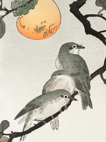 Косон Охара - Birds and plants