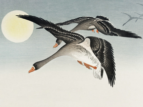 Косон Охара - Birds at full moon