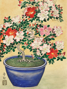 Косон Охара - Blooming azalea in blue pot