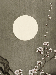 Косон Охара - Blooming plum blossom at full moon