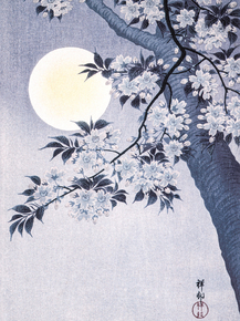 Косон Охара - Blossoming Cherry on a Moonlit Night