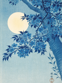 Косон Охара - Blossoming Cherry on a Moonlit Night