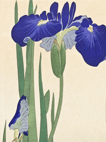 Косон Охара - Blue Irises Косон Охара - Blue Irises