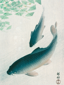 Косон Охара - Carp or Koi