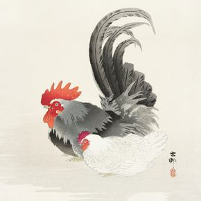 Косон Охара - Chicken and cock