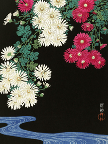 Косон Охара - Chrysanthemums