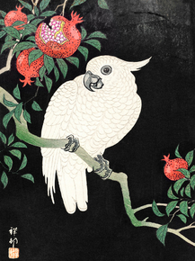 Косон Охара - Cockatoo and Pomegranate